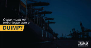 Read more about the article O que muda na importação com o DUIMP?